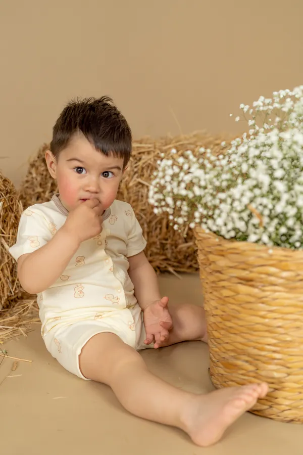 ПОЛУКОМБЕНИЗОН