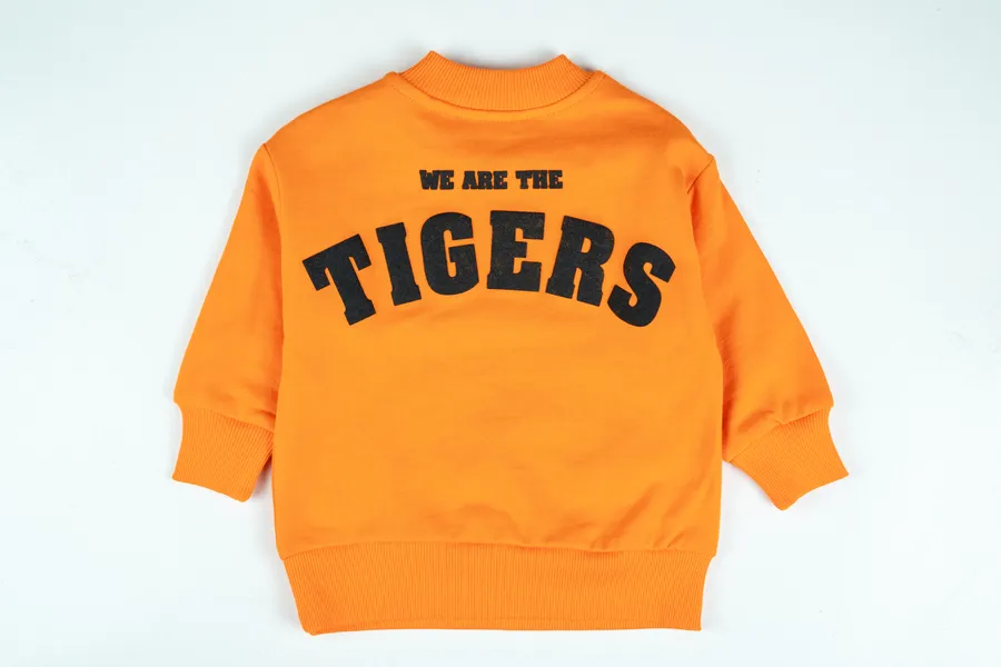 ТОЛСТОВКА для мальчика